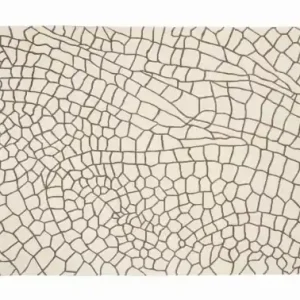 Bezpieczne zakupy GAN RUGS dywan DRAGONFLY by Nendo beżowy